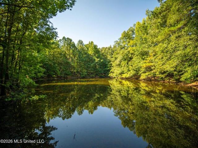 Land for sale in Cruger, Mississippi