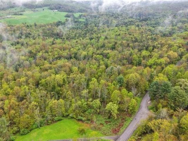 Land for sale in Windsor