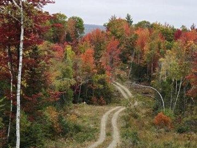 Land for sale in Phillips, Maine