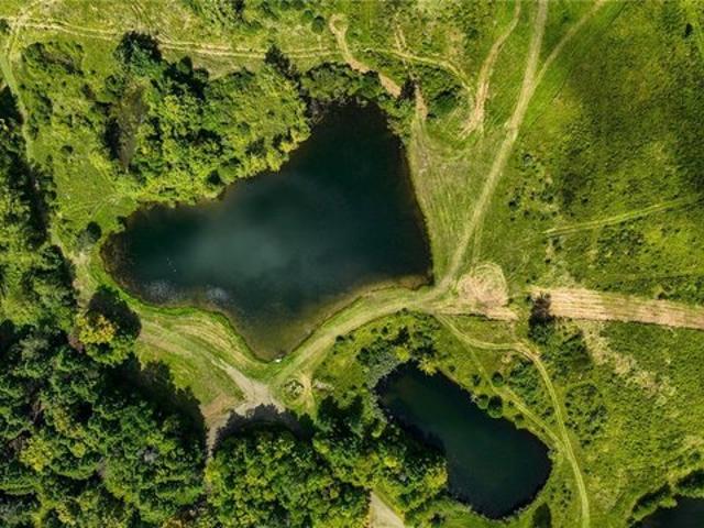 Farm for sale in Holland, New York