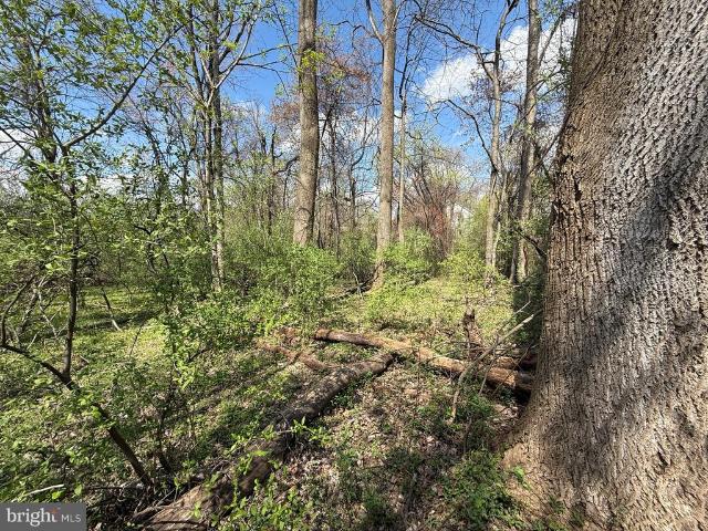 Land for sale in Virginia