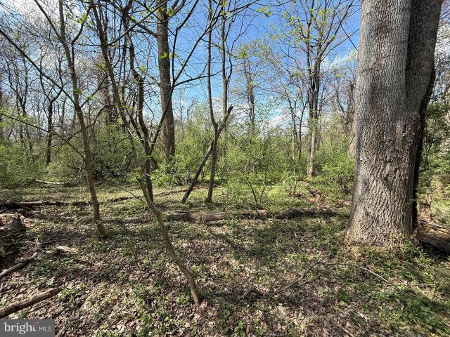 Property for sale in Virginia