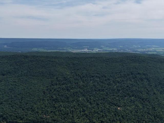 Land for sale in Pennsylvania