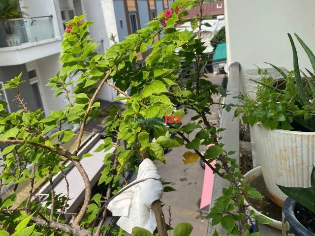 Bất động sản cho thuê tại Hồ Chí Minh