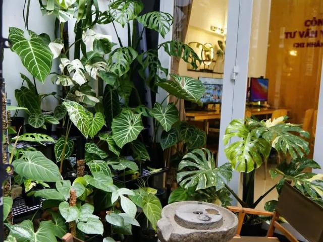 Nhà bán tại Thủ Đức, Hồ Chí Minh