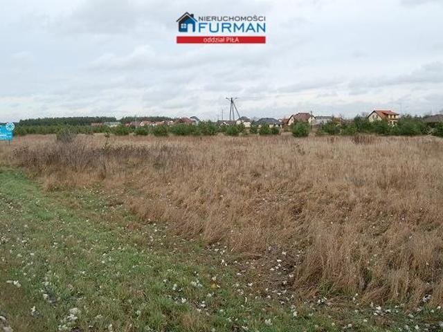 Grunt na sprzedaż w Piła, Wielkopolskie