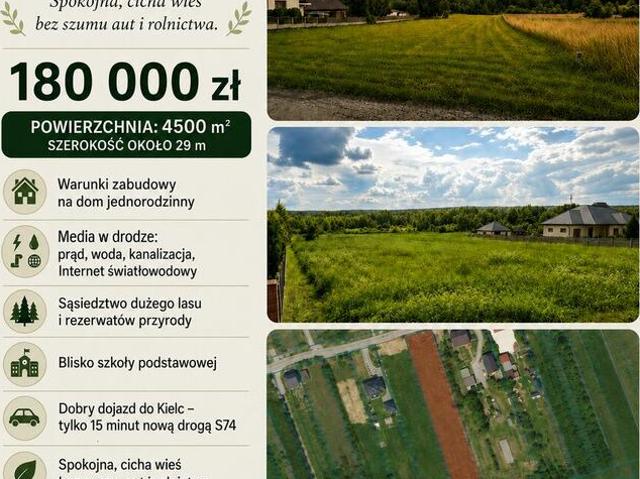 Grunt na sprzedaż w Mniów, Świętokrzyskie