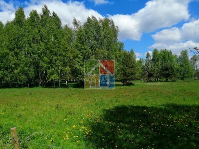 Grunt na sprzedaż w Szczawin Kościelny, Mazowieckie