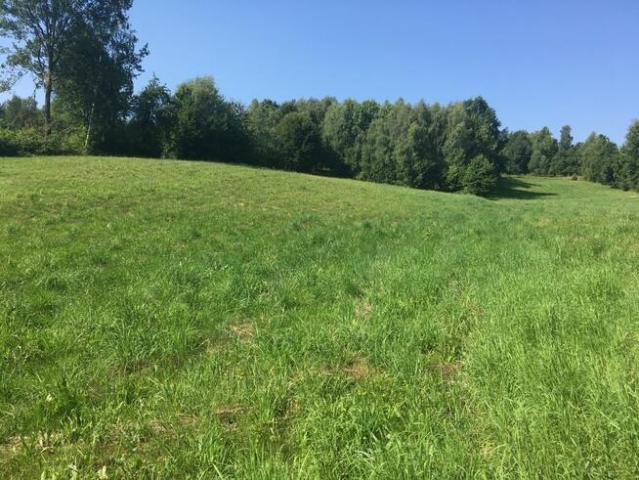Grunt na sprzedaż w Bieliny, Świętokrzyskie