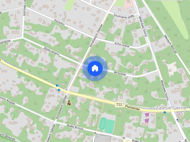 Dom do wynajęcia w Zalesie Górne, Mazowieckie