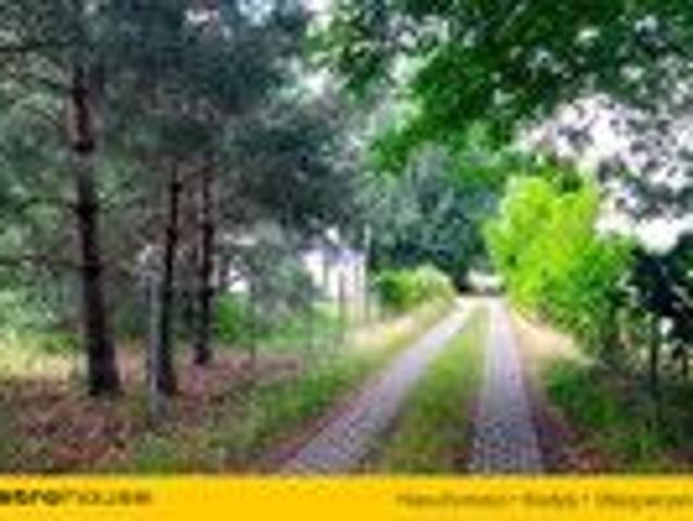 Dom do wynajęcia w Góra Kalwaria