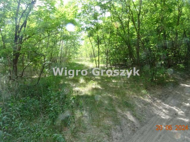 Grunt na sprzedaż w Góra Kalwaria, Mazowieckie