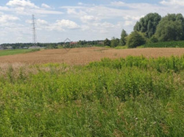 Grunt na sprzedaż w Lesznowola, Mazowieckie
