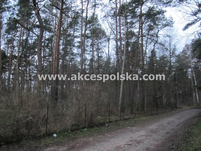 Grunt na sprzedaż w Zalesie Górne, Mazowieckie