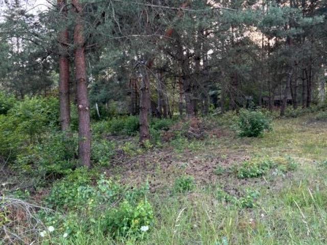 Grunt na sprzedaż w Mściszewo, Wielkopolskie