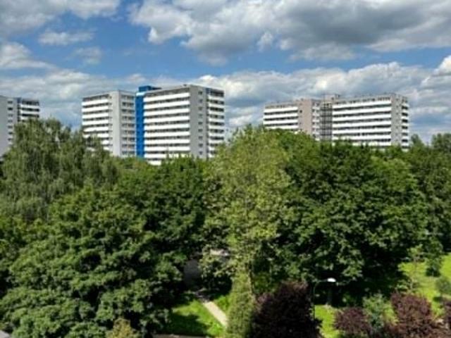 Mieszkanie do wynajęcia w Katowice, Śląskie