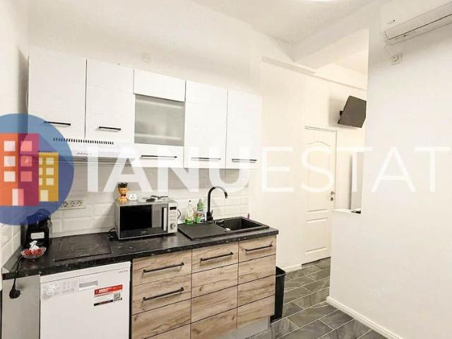 Apartament închirieri în Corneliu Coposu, București