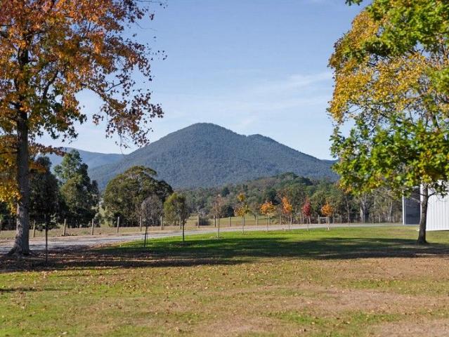 Cottage for sale in Camerons Creek, Victoria
