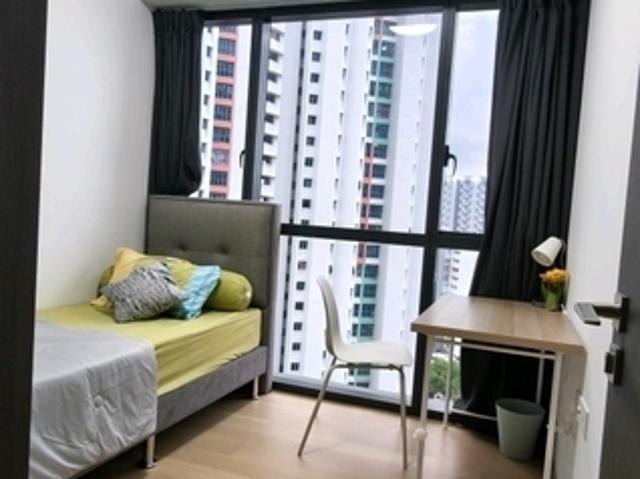 Apartment for rent
