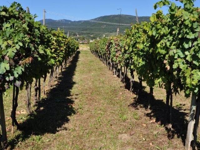 Terreno in vendita a Sansepolcro, Toscana