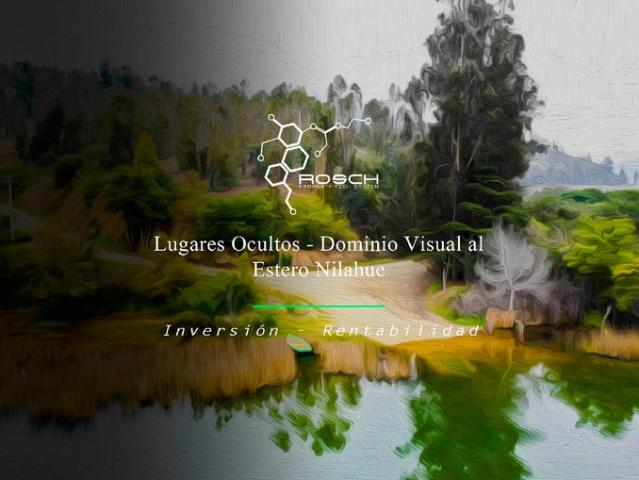 Pichilemu, El quillay