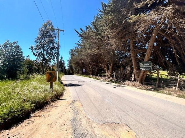 Pichilemu, I 468