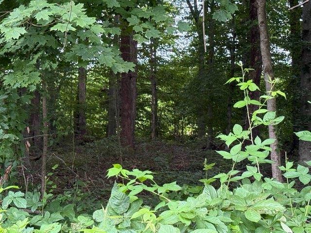 Land for sale in Jamestown, Kentucky