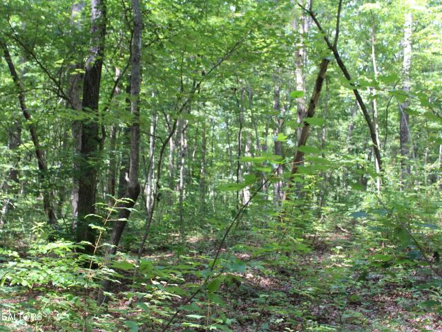Land for sale in Jamestown, Middle Tennessee