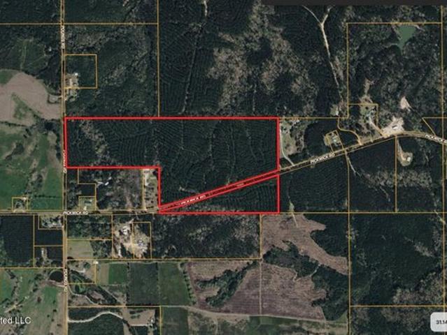 Land for sale in Foxworth, Marion County