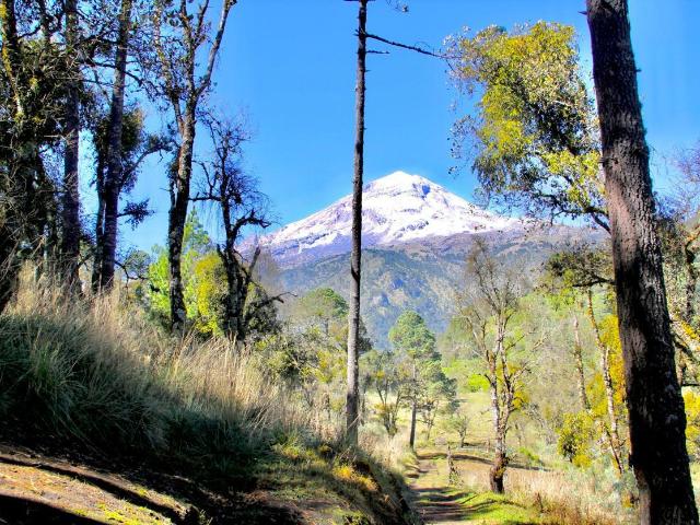 Terreno en venta en Ojo de Agua, Orizaba
