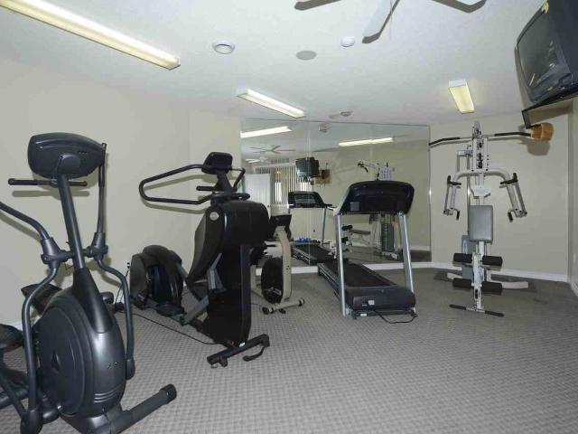 Apartment for rent in Arva, Ontario