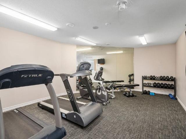 Apartment for rent in Arva, Ontario