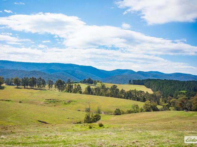 Cottage for sale in Towamba, New South Wales