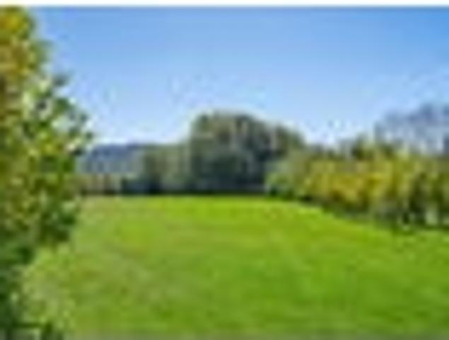 Land for sale in Northland