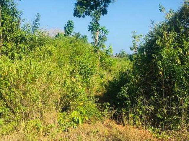 Land for sale in Kwale, Diani Land for sale in Kwale, Diani