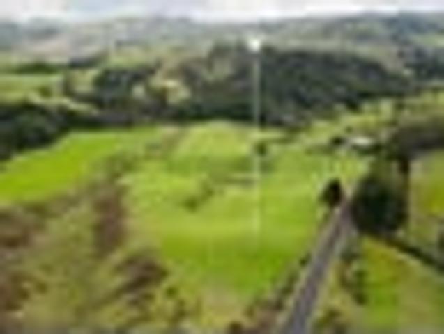 Land for sale in Waikato