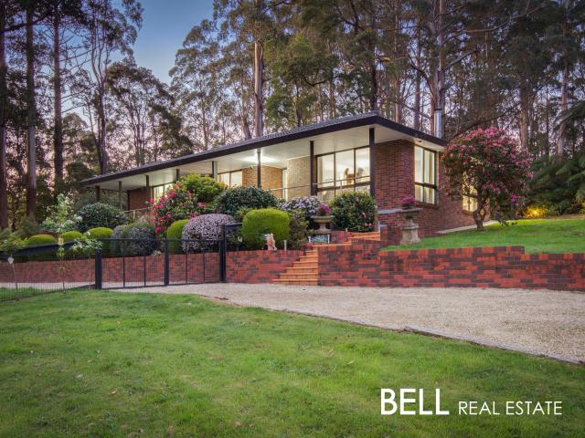 House for sale in Camerons Creek, Victoria