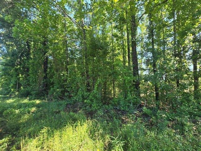Land for sale in Newton, Texas
