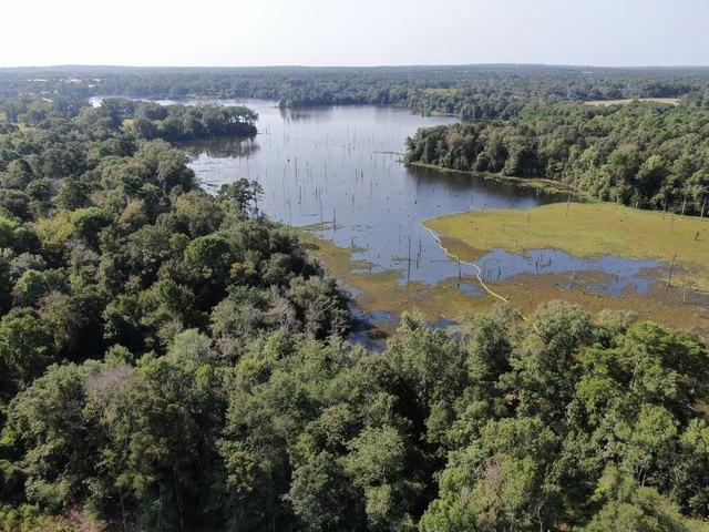 Land for sale in Garrison, Texas