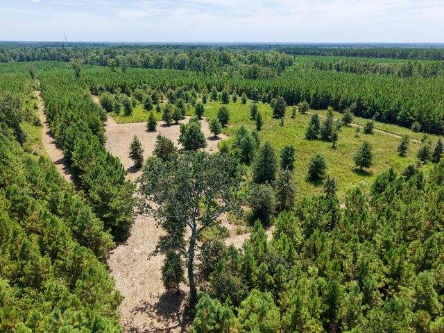 Land for sale in Diboll, Texas