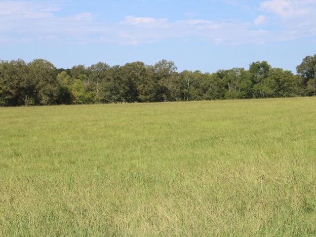 Land for sale in Corrigan, Polk County