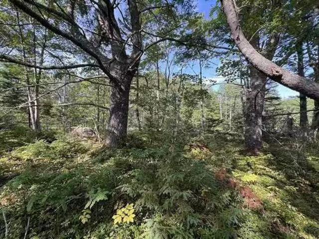 House for sale in Port Medway, Nova Scotia