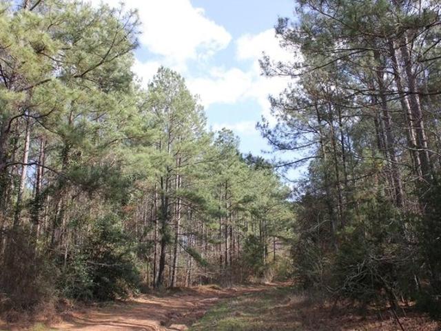 Land for sale in Garrison, Nacogdoches County
