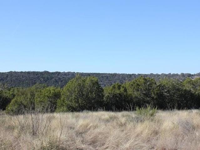 Land for sale in Junction, Texas