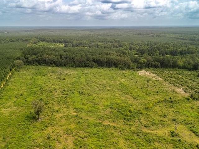 Land for sale in Shelby, Texas