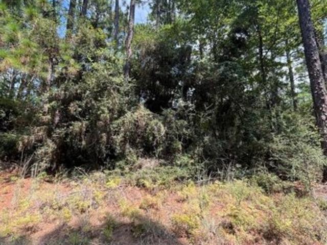 Land for sale in Brookeland, Texas