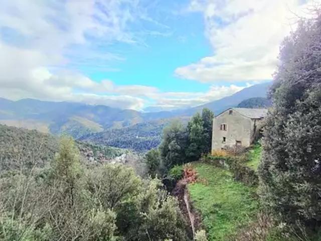 Maison vente à Corte, Piedicroce