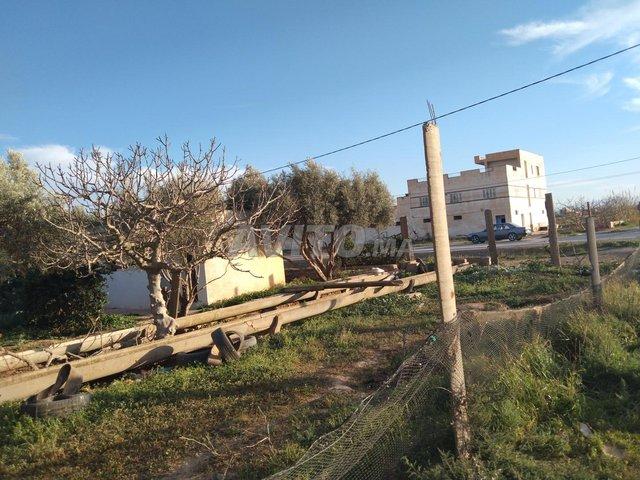 Propriété vente à Nador