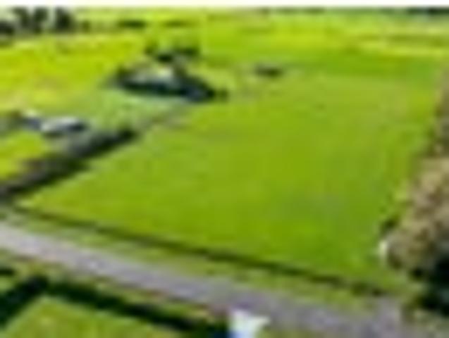 Land for sale in Normanby, Taranaki