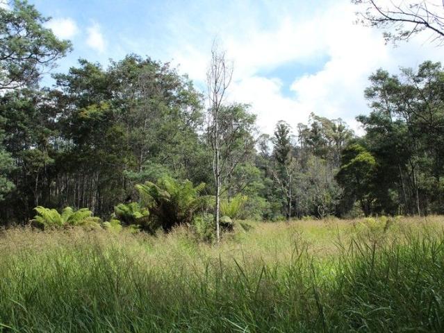Land for sale in Calder, Tasmania